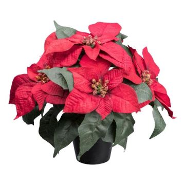 Umělá poinsettie FRIZO v ozdobném květináči, červená, 26cm Umělá poinsettie FRIZO v ozdobném květináči, červená, 26cm