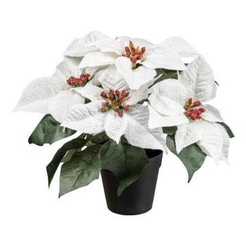 Umělá poinsettie FRIZO v dekorativním květináči, bílá, 26cm Umělá poinsettie FRIZO v dekorativním květináči, bílá, 26cm