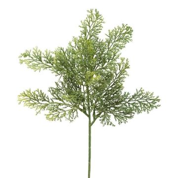Dekorativní cypřišová větev PLIRKO, zelená, 40cm Dekorativní cypřišová větev PLIRKO, zelená, 40cm