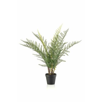 Umělá kapradina mečík LOWTAN v dekorativním květináči, křížová dvířka, zelená, 65cm