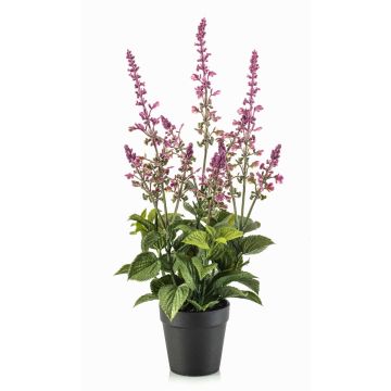 Umělá šalvěj SWORTA v dekorativním květináči, květy, fialová, 45cm