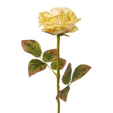 Umělá květina růže DRINT, zeleno-krémová, 60cm, Ø10,5cm Umělá květina růže DRINT, zeleno-krémová, 60cm, Ø10,5cm
