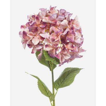 Umělá hortenzie BRITTANY, broskvově fialová, 90cm