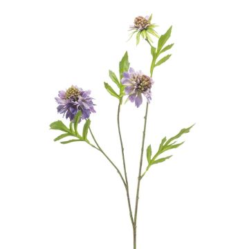 Umělá větvička Scabiosa RUXTER, fialová, 60cm Umělá větvička Scabiosa RUXTER, fialová, 60cm