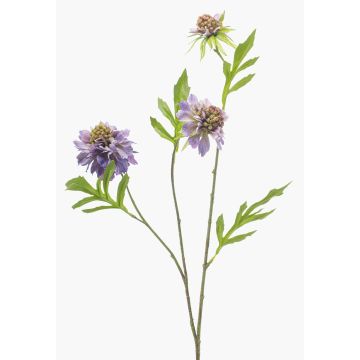 Umělá větvička Scabiosa RUXTER, fialová, 60cm Umělá větvička Scabiosa RUXTER, fialová, 60cm
