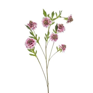 Umělá větev Scabiosa RUXTER, světle růžová, 115cm Umělá větev Scabiosa RUXTER, světle růžová, 115cm