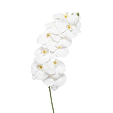 Umělá větev orchideje Phalaenopsis XURI, bílá, 100cm