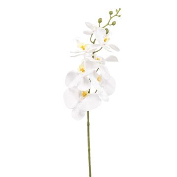 Umělá větev orchideje Phalaenopsis AXELOR, bílá, 85cm