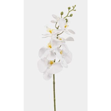 Umělá větev orchideje Phalaenopsis AXELOR, bílá, 85cm