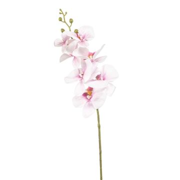 Umělá větev orchideje Phalaenopsis AXELOR, bílo-růžová, 85cm