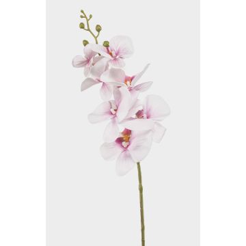Umělá větev orchideje Phalaenopsis AXELOR, bílo-růžová, 85cm