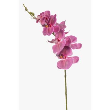 Umělá větev orchideje Phalaenopsis AXELOR, růžová, 85cm