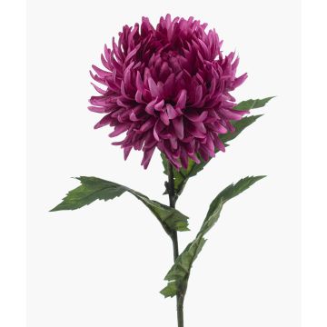 Umělá chryzantéma SAXLER, fialová, 55cm Umělá chryzantéma SAXLER, fialová, 55cm