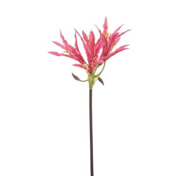 Umělá zahradní amaryllis XAVLER, růžová, 80 cm Umělá zahradní amaryllis XAVLER, růžová, 80 cm