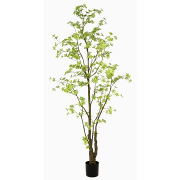Umělý stromek nasturtium SULLA, umělý kmen, zelený, 270cm