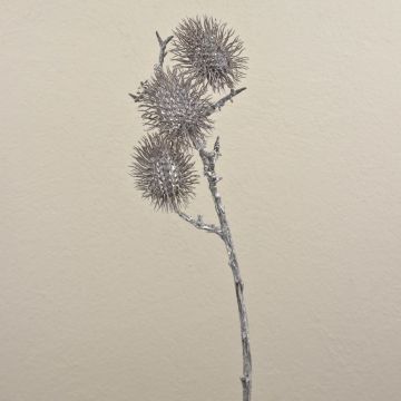 Umělá větev rambutanu WARDA, hnědo-bílá, 60cm