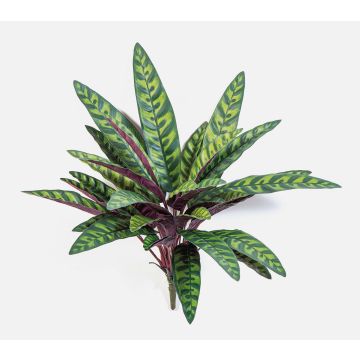 Umělá rostlina Calathea Makoyana MANAMI na tyči, zeleno-červená, 40cm Umělá rostlina Calathea Makoyana MANAMI na tyči, zeleno-červená, 40cm