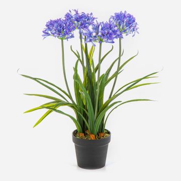 Umělá rostlina Agapanthus LESEDA v ozdobném květináči, modrá, 65cm Umělá rostlina Agapanthus LESEDA v ozdobném květináči, modrá, 65cm
