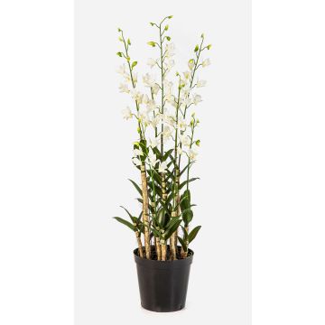 Dendrobium orchidej LOFINA umělá květina v dekorativním květináči, bílá, 130 cm