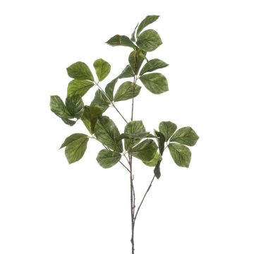 Dekorativní větvička kaštanu SNELOR, zelená, 120cm
