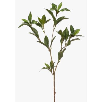 Dekorativní větvička vavřínu ITRELK, zelená, 90cm