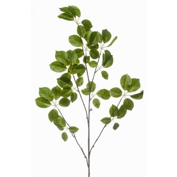 Dekorativní větev Schefflera KRUVEN, zelená, 120cm Dekorativní větev Schefflera KRUVEN, zelená, 120cm
