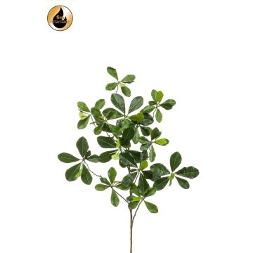 Umělá větev Bucida Buceras TANIESA, nehořlavá, 65cm