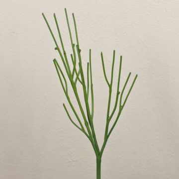 Umělá rostlina pryšec BENEDETTO, zelená, 50cm