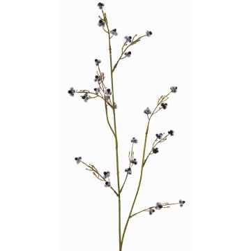 Umělá Stirlingia latifolia COLLAN, černobílá, 75cm, Ø1cm