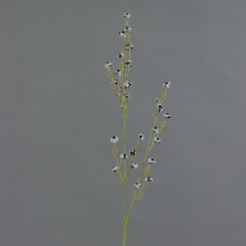 Umělá Stirlingia latifolia COLLAN, černobílá, 85cm