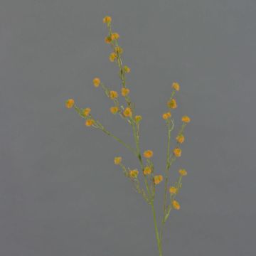 Umělá Stirlingia latifolia COLLAN, oranžová, 85cm