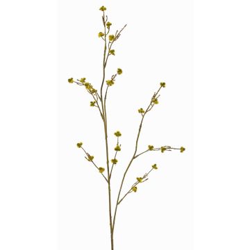 Umělá Stirlingia latifolia COLLAN, zelenožlutá, 75cm, Ø1cm