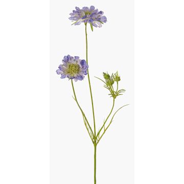 Umělá hlaváč fialový ANDIA, modrofialová, modro-lila, 80cm, Ø8-10cm Umělá hlaváč fialový ANDIA, modrofialová, modro-lila, 80cm, Ø8-10cm