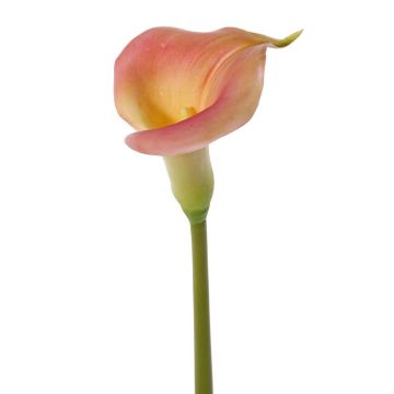 Umělá calla MIRAC, růžovo-žlutá, 75cm, 12x15cm Umělá calla MIRAC, růžovo-žlutá, 75cm, 12x15cm