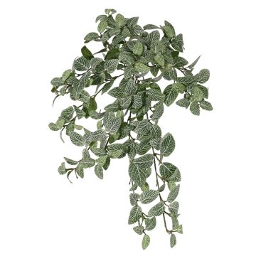 Umělá fitónie NALEDI, zápich, pro interiér i exteriér, nehořlavá, zeleno-bílá, 50cm Umělá fitónie NALEDI, zápich, pro interiér i exteriér, nehořlavá, zeleno-bílá, 50cm