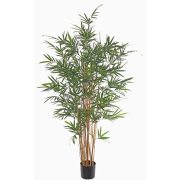 Umělý bambus LUCINE, skutečné kmeny, pro interiér i exteriér, 230cm