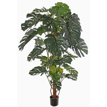 Umělá monstera deliciosa CHORA, 190cm Umělá monstera deliciosa CHORA, 190cm