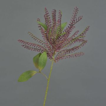 Umělý pieris VILLADS, vínová barva, 60 cm