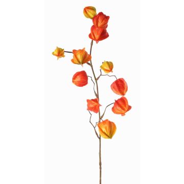 Umělá větev physalis PERSEI s plody, oranžová, 80cm Umělá větev physalis PERSEI s plody, oranžová, 80cm