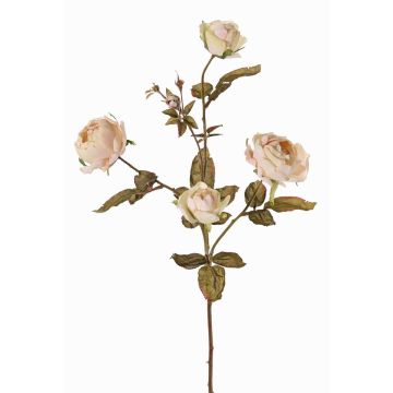 Umělá větev růže SITARA, krémovo-růžová, 75cm, Ø5-8cm Umělá větev růže SITARA, krémovo-růžová, 75cm, Ø5-8cm