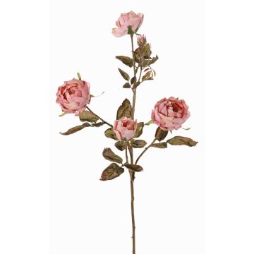 Umělá větev růže SITARA, stará růže, starorůžová, 75cm, Ø5-8cm