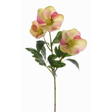 Umělá vánoční růže AKRAB, krémově růžová, zeleno-fuchsiová, 45cm, Ø5-8cm