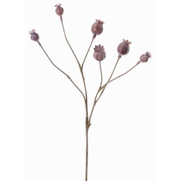 Umělé makové kapsle ASUMAN, hnědé, 70cm, Ø2-3cm Umělé makové kapsle ASUMAN, hnědé, 70cm, Ø2-3cm