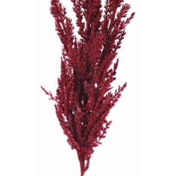 Umělá pampová tráva THEMBA s laty, vínová, burgundská, 115cm Umělá pampová tráva THEMBA s laty, vínová, burgundská, 115cm