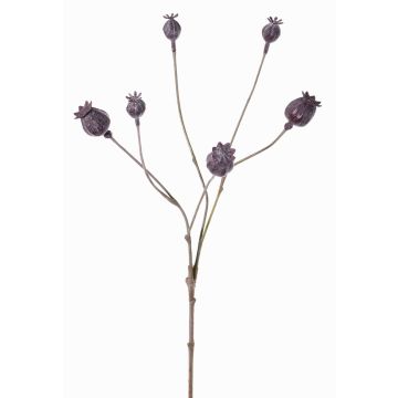 Umělé makové kapsle ASUMAN, tmavě hnědé, 70cm, Ø2-3cm Umělé makové kapsle ASUMAN, tmavě hnědé, 70cm, Ø2-3cm