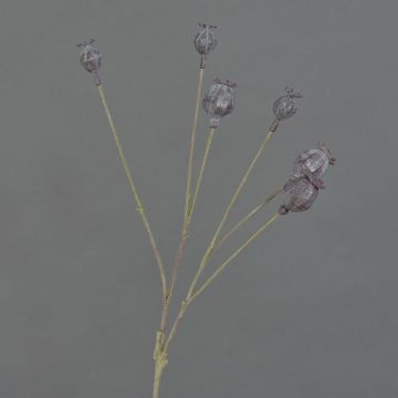 Umělé makové kapsle ASUMAN, tmavě hnědé, 70 cm Umělé makové kapsle ASUMAN, tmavě hnědé, 70 cm