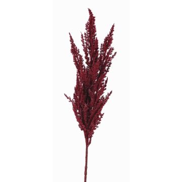 Umělá větvička pampové trávy THEMBA, vínová, burgundské, 80cm Umělá větvička pampové trávy THEMBA, vínová, burgundské, 80cm