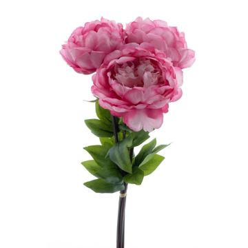 Umělá pivoňka DUDIL, růžovo-růžová, 50cm