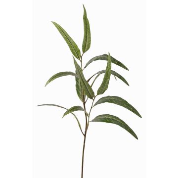 Umělá eukalyptová větev SEMA, zelená, 70cm