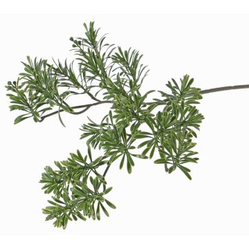 Umělá větev crossostephium BILBO, pro interiér i exteriér, zelená, 45cm Umělá větev crossostephium BILBO, pro interiér i exteriér, zelená, 45cm